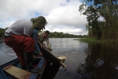 comodarlavueltaalmundo.com_amazonas2
