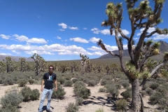 comodarlavueltaalmundo.com_desierto_mojave-min