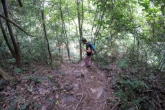 Como-dar-la-vuelta-al-mundo-koh-lanta-selva