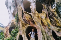 Como-dar-la-vuelta-al-mundo-dalat-crazy-house