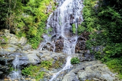 dorrigo-min