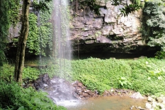 dorrigo2-min