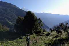 Como-dar-la-vuelta-al-mundo-trekking-annapurna