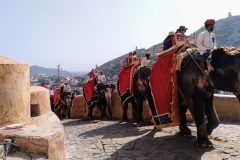Como-dar-la-vuelta-al-mundo-amber-fort