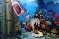 4.como-dar-la-vuelta-al-mundo-langkawi-3D-concha-min-1024x768