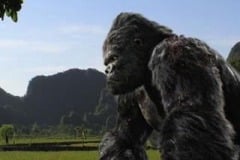 como-dar-la-vuelta-al-mundo-king-kong