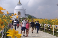 Como-dar-la-vuelta-al-mundo-pagoda-paz-mundial