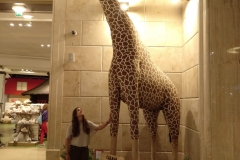 como-dar-la-vuelta-al-mundo-centro-comercial-moscu