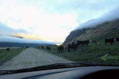 como-dar-la-vuelta-al-mundo-nz-rob-roy-road1-min