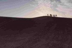 comodarlavueltaalmundo.com_duna