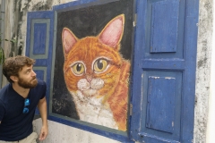 como-dar-la-vuelta-al-mundo-georgetown-gato-iñigo