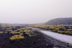 como-dar-la-vuelta-al-mundo-nz-tongariro2-min