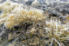 como-dar-la-vuelta-al-mundo-nz-tongariro3-min