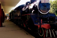 Como-dar-la-vuelta-al-mundo-tren-dalat