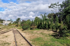 Como-dar-la-vuelta-al-mundo-via-tren-dalat