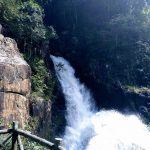 como-dar-lavuelta-al-mundo-cascada-dalat