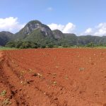 ¿Qué hacer en Viñales?